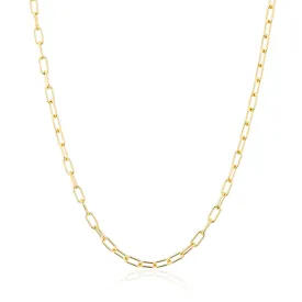 14KT Yellow Gold Linked Chain Lyla Necklace