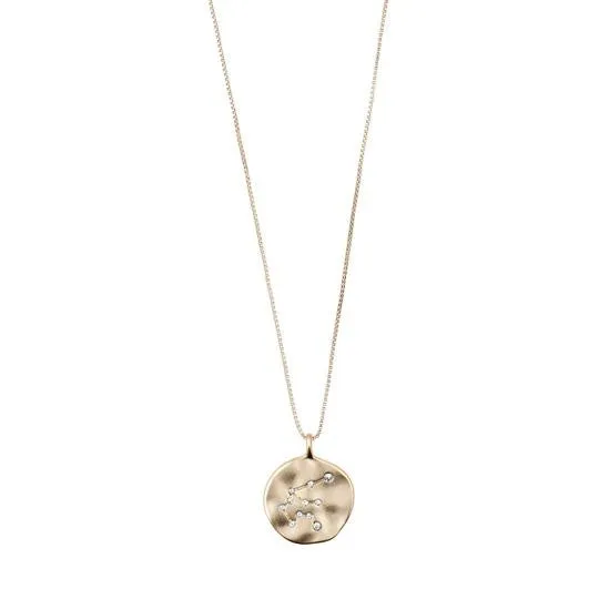 Aquarius Zodiac Sign Coin Necklace (Gold Plated)