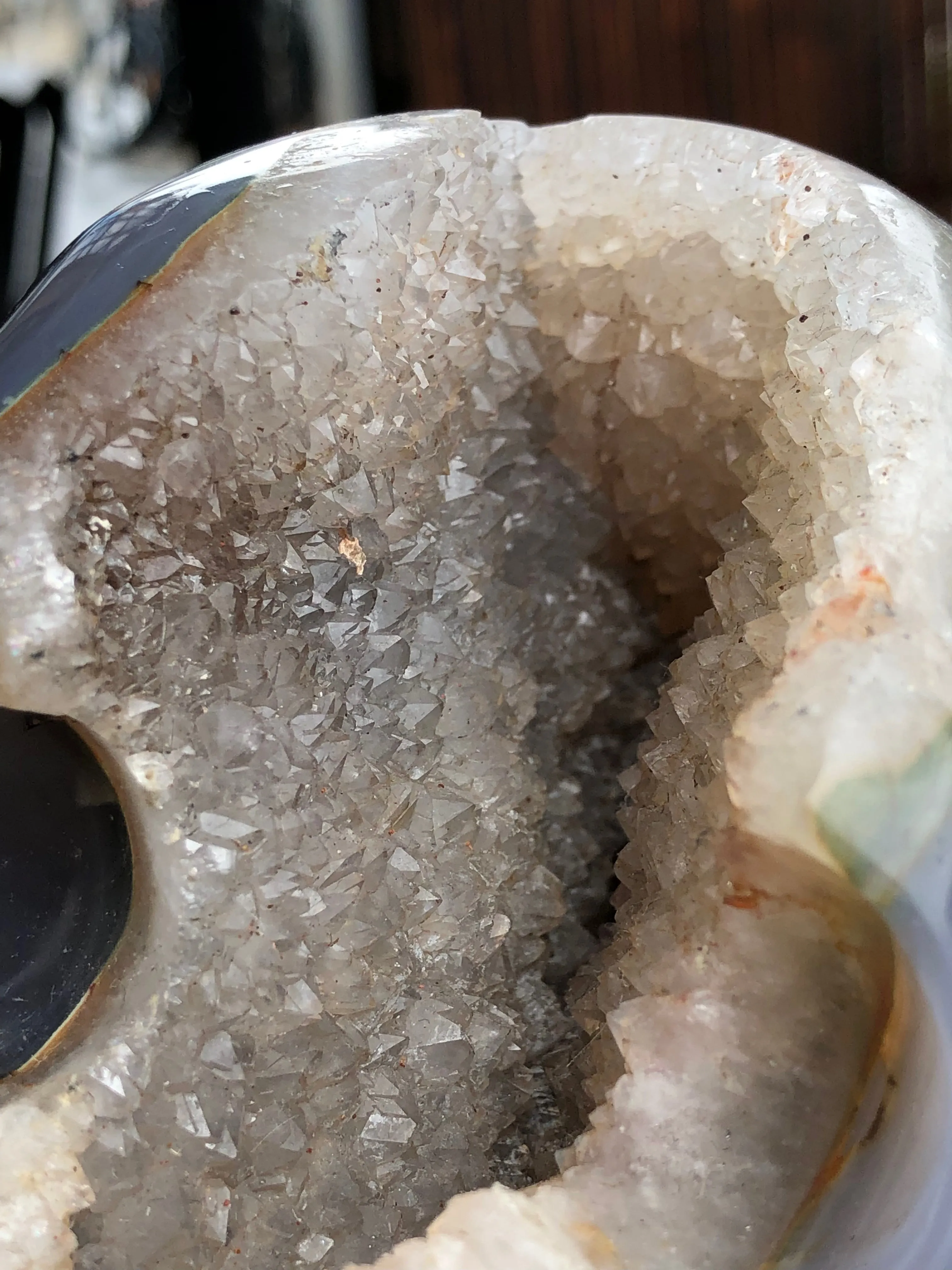 Blue Grey Agate and Quartz Geode Skull [11X81]